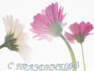 Новость