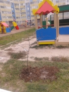 Новость