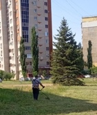 Новость