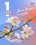 Новость