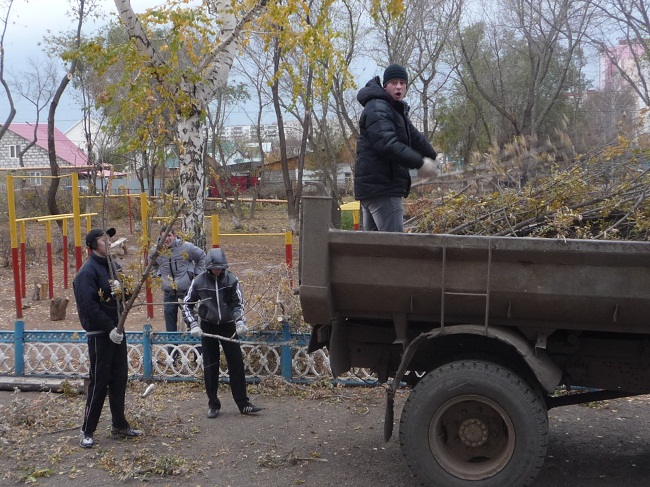 вывоз сухих деревьев